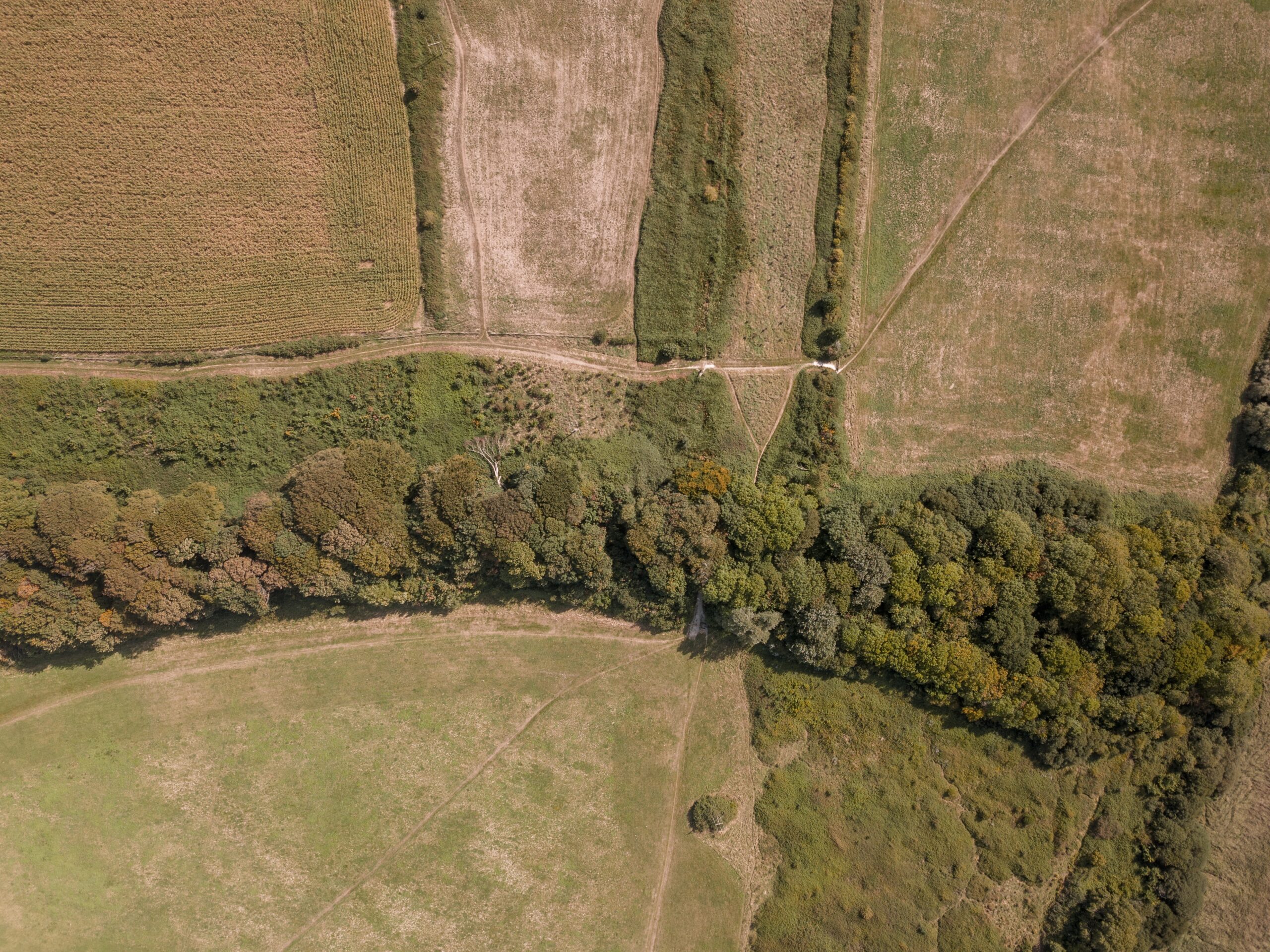Aerial landscape imagery