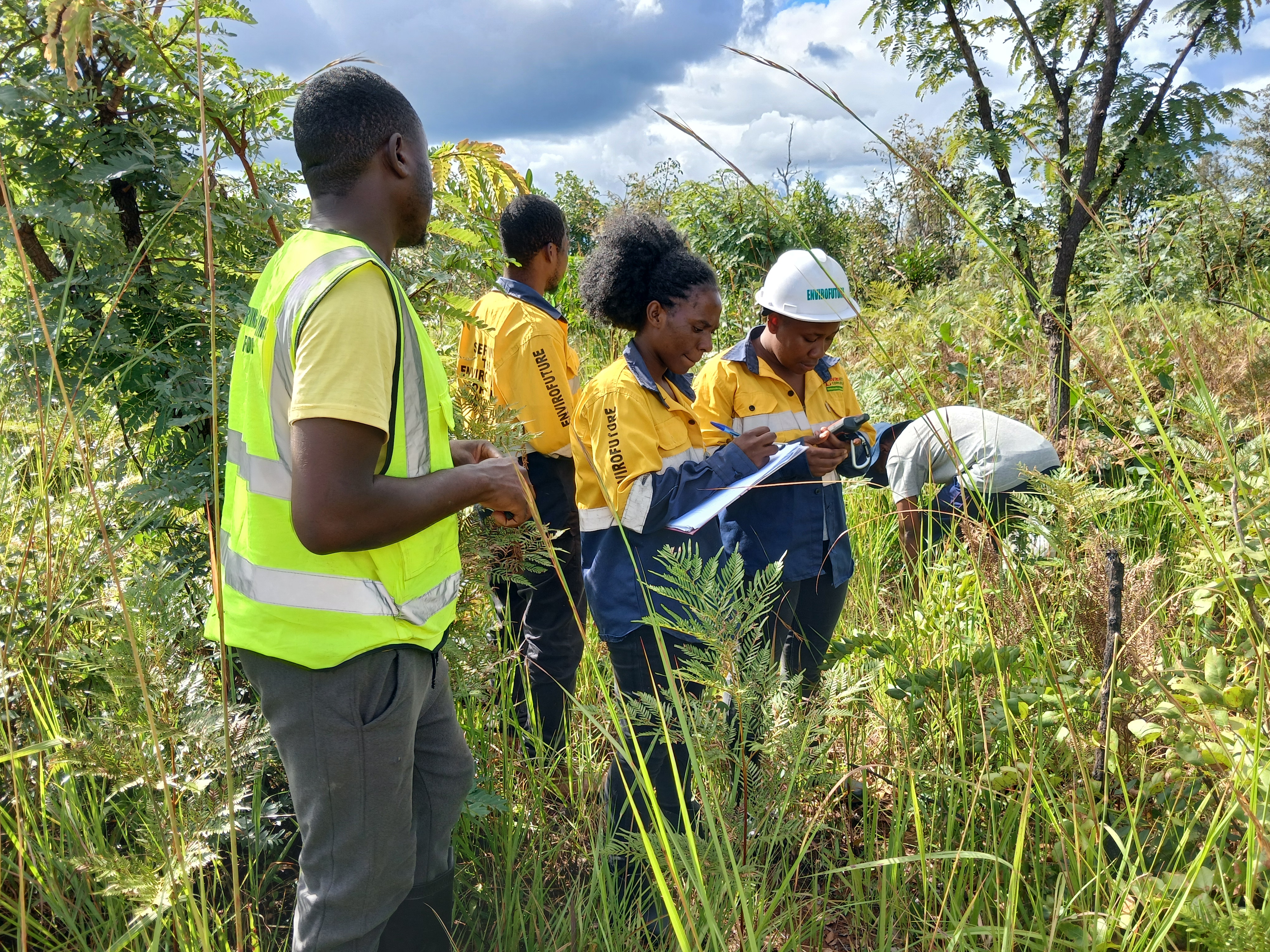 Environmental consultancy field assessment