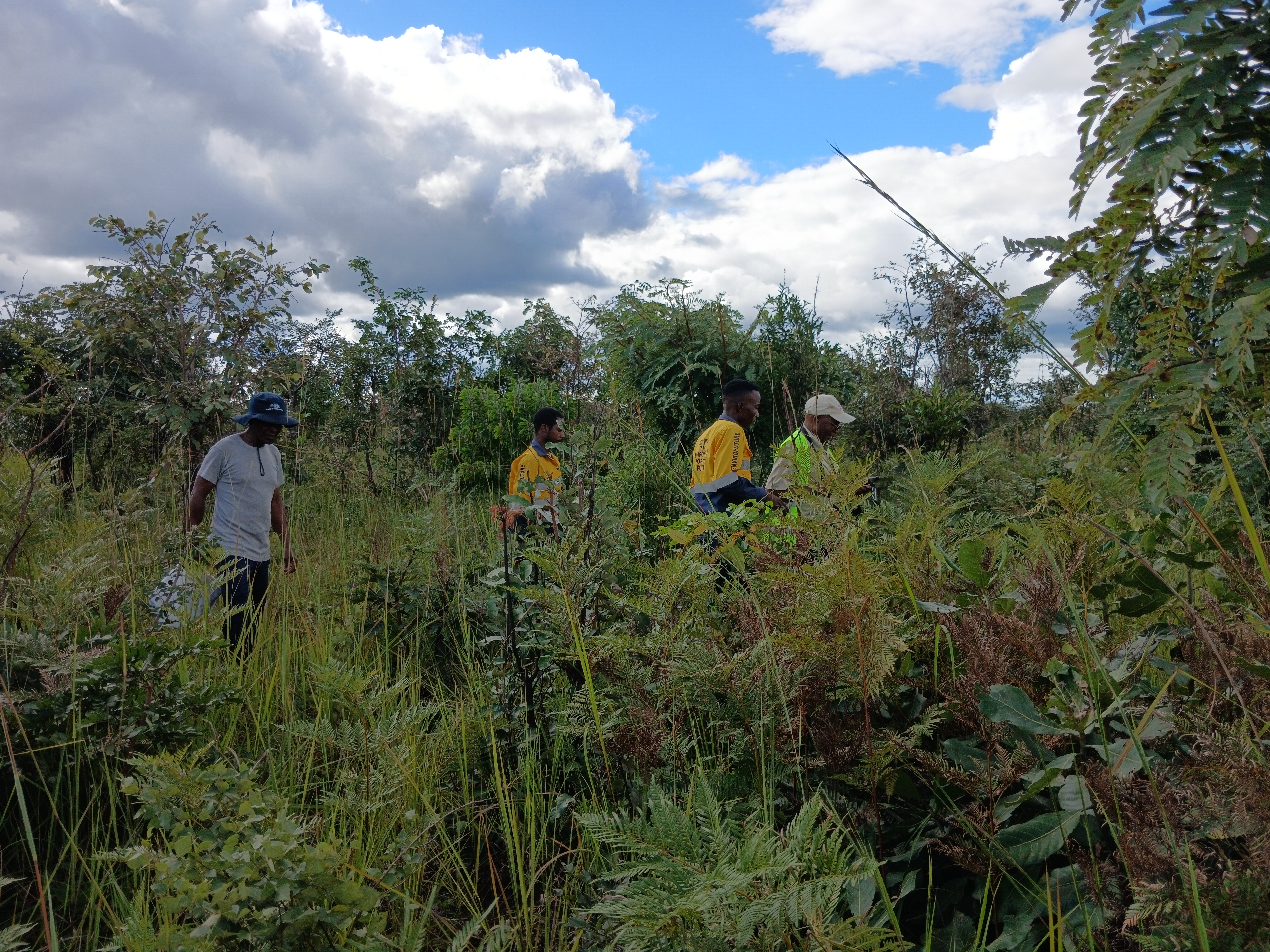 Ecology team undertaking a vegetation and habitat survey