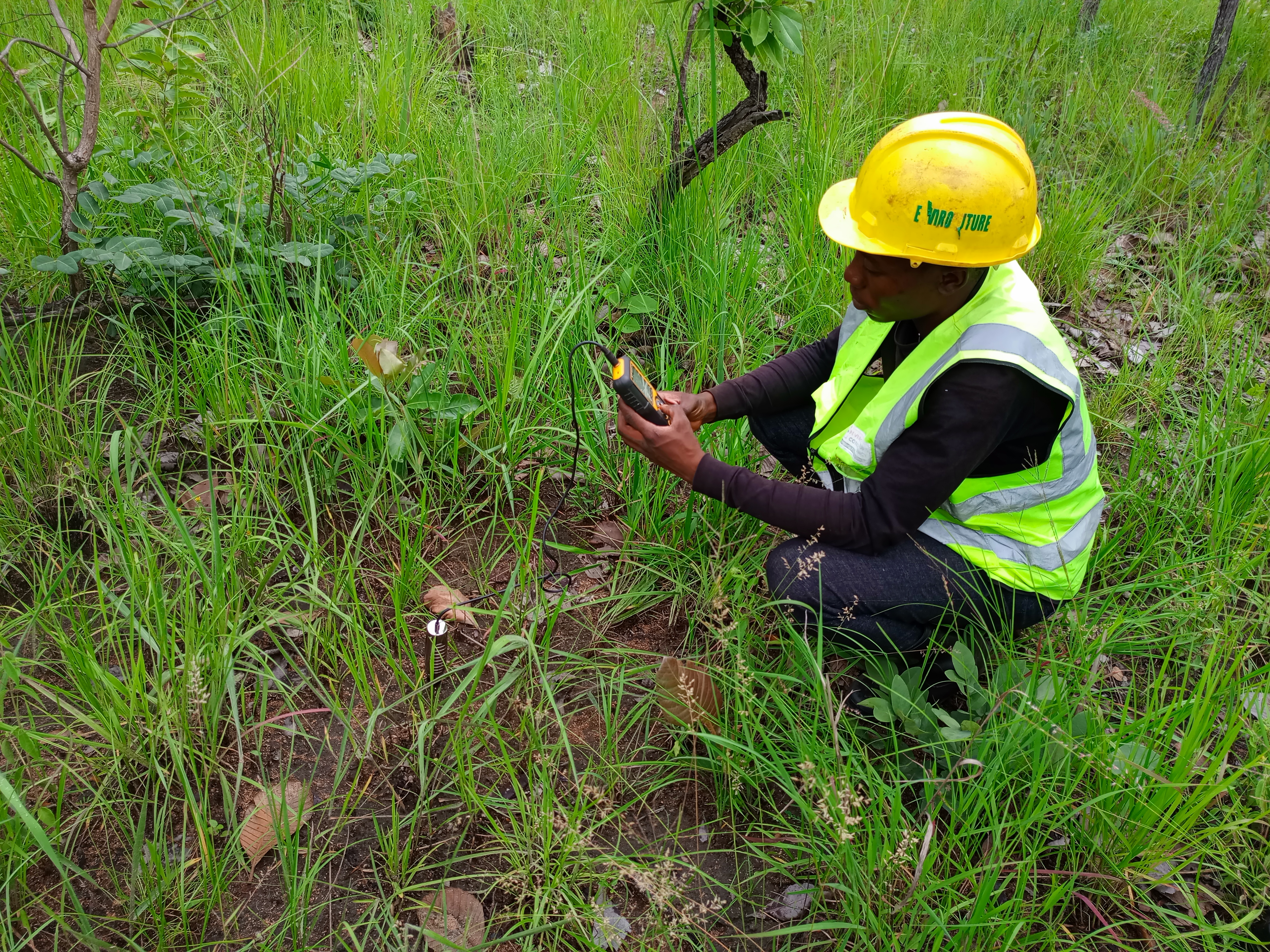 Environmental Project Brief field assessment
