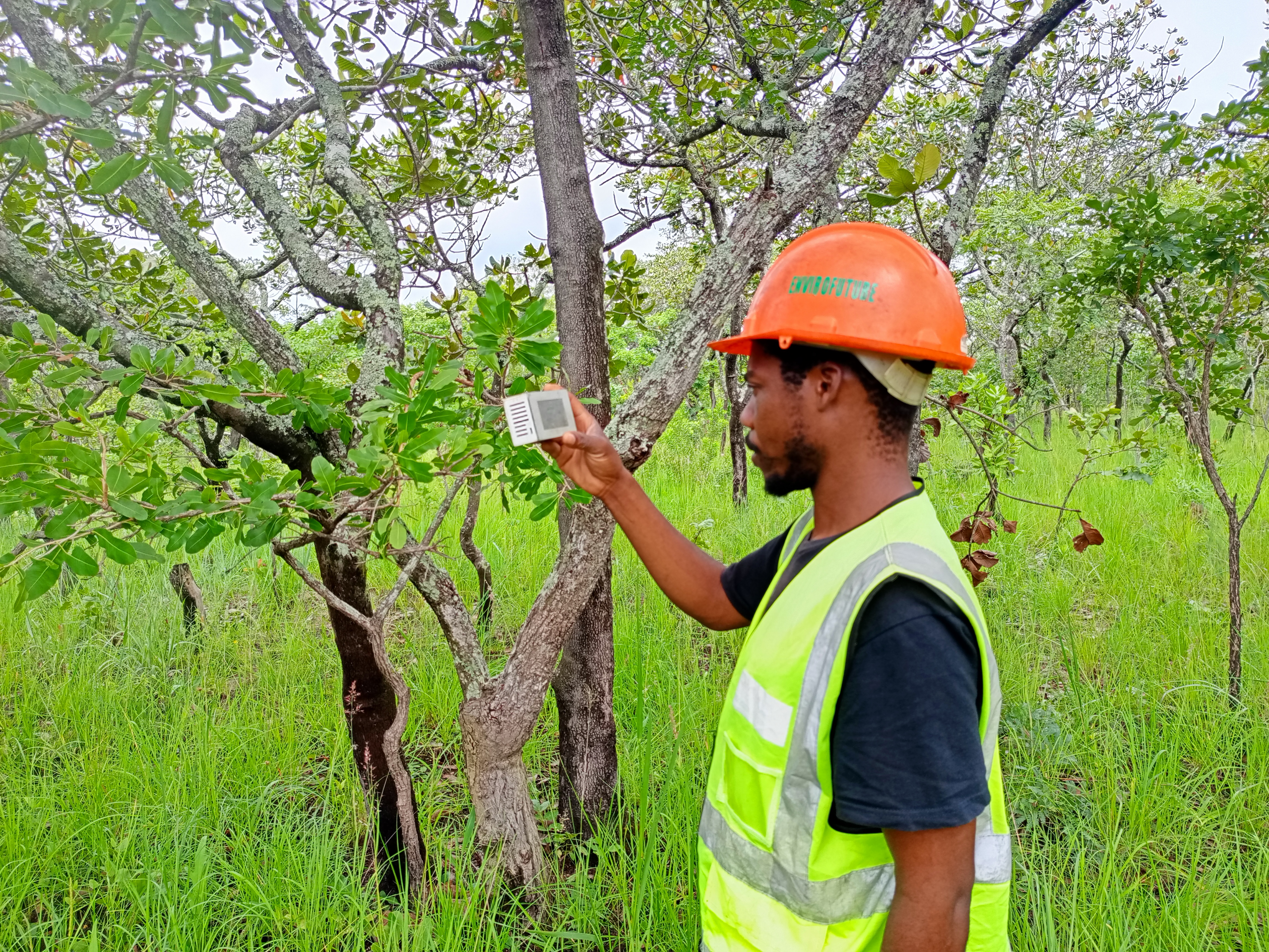 Environmental monitoring