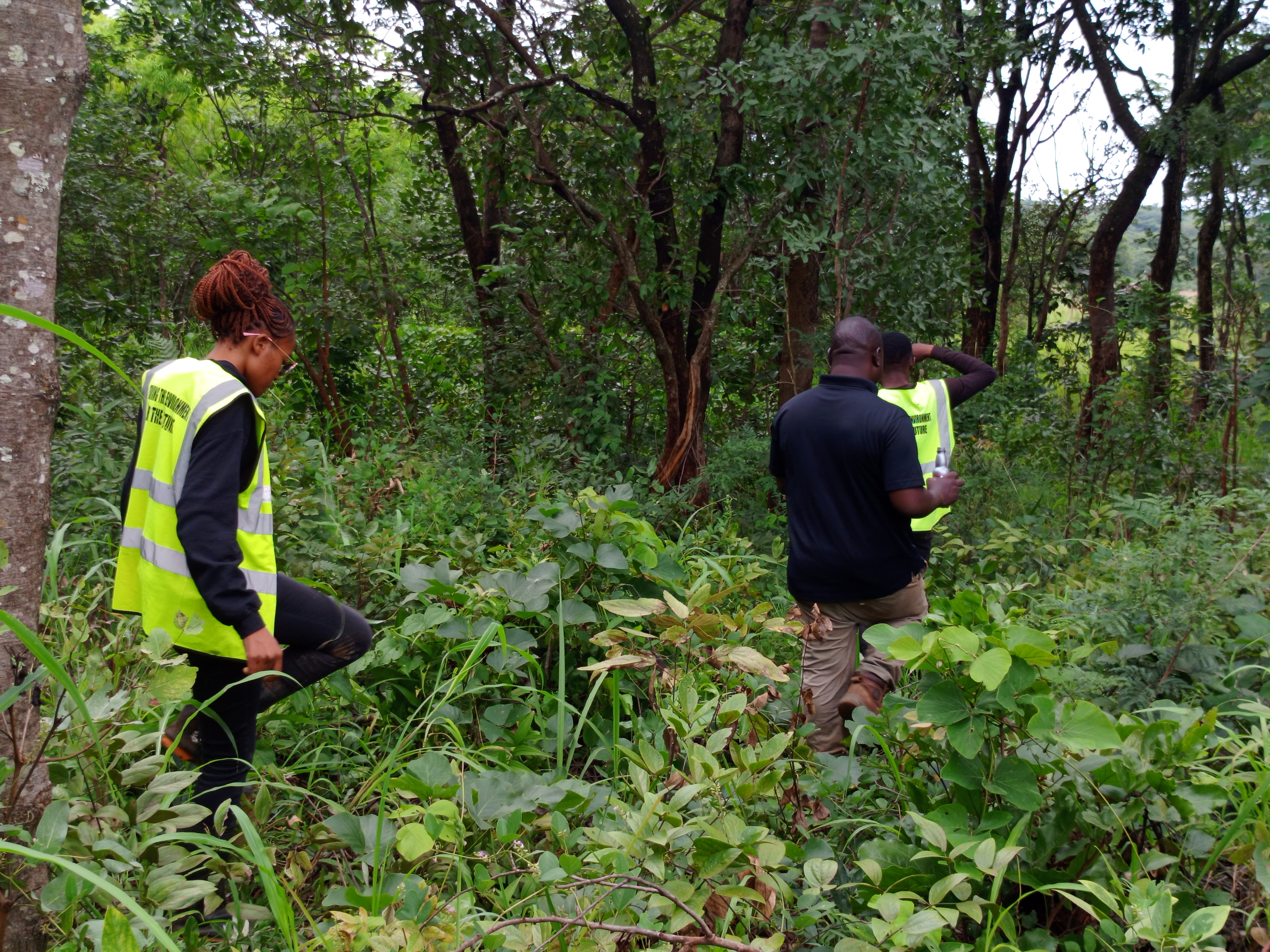 Geospatial field survey