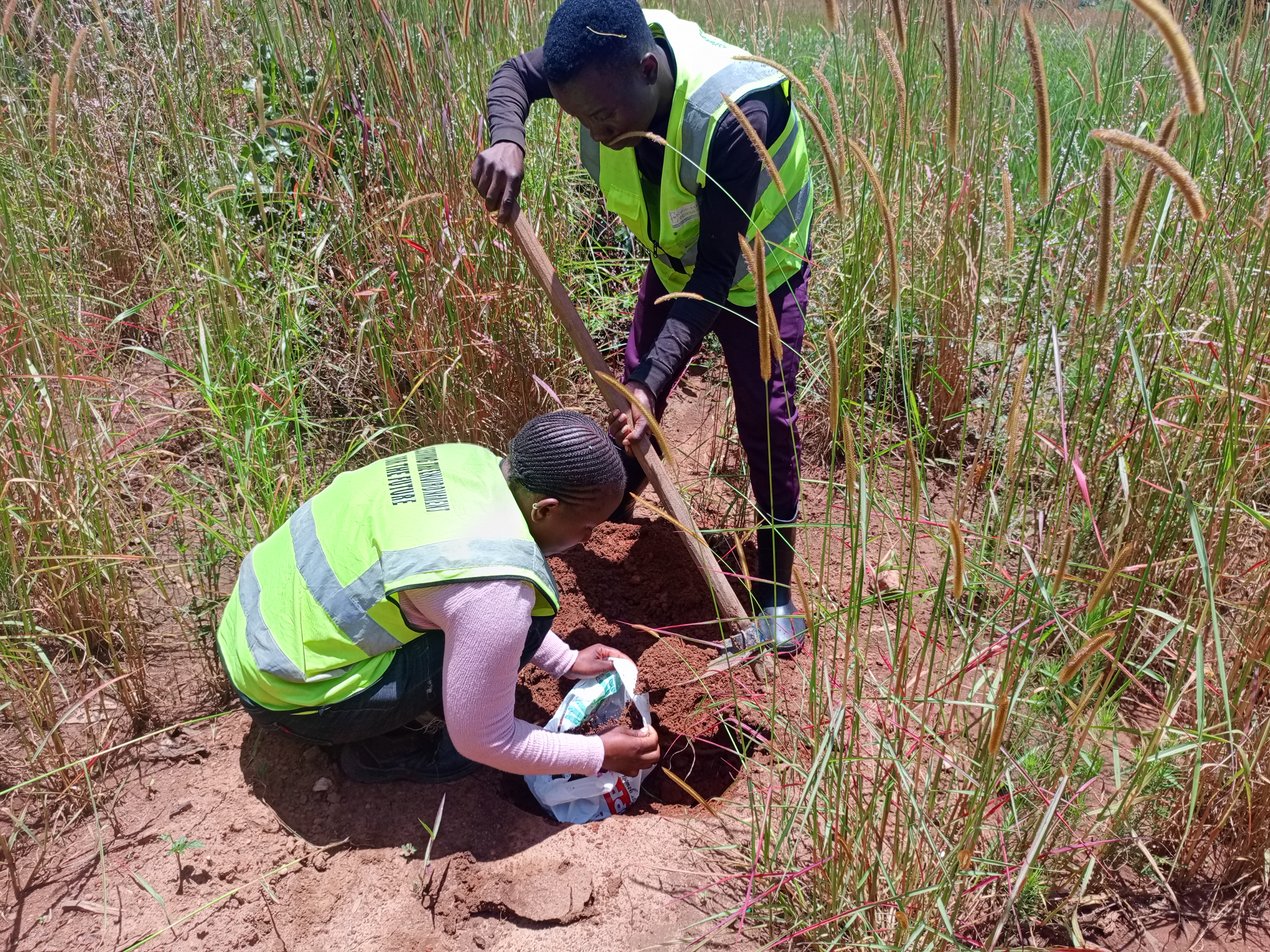 Field assessment activity